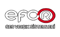 EFOR SES