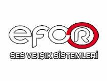 EFOR SES